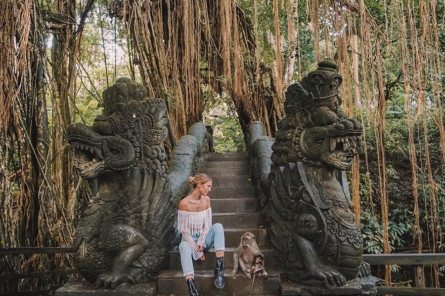Monkey-Forest-Trip