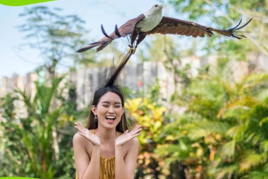 bali bird park