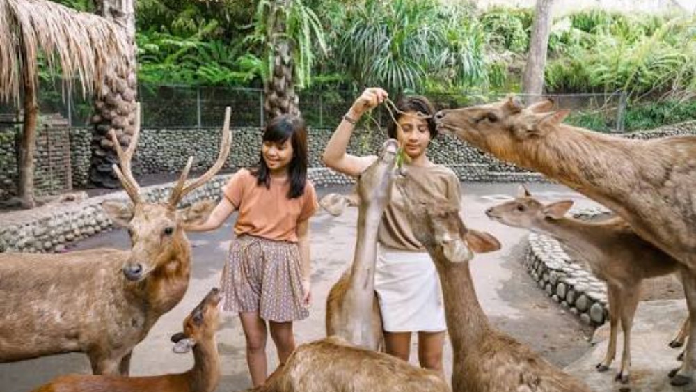 balizoo1